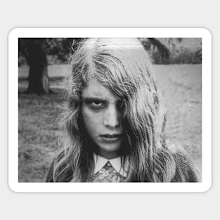 Night of the Living Dead - They won't stay dead T-Shirt Sticker